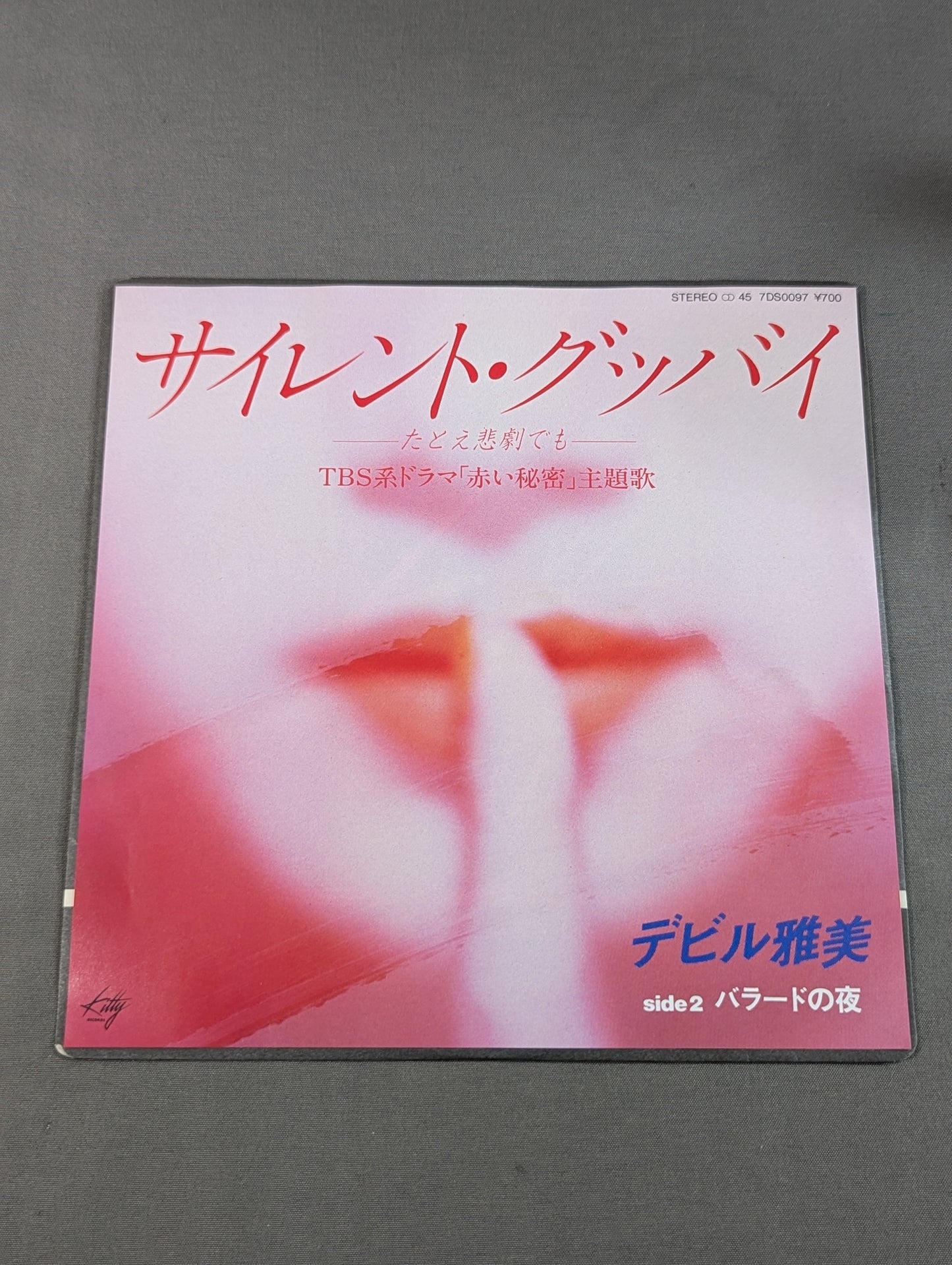 サイレント・グッバイ -たとえ悲劇でも- / デビル雅美