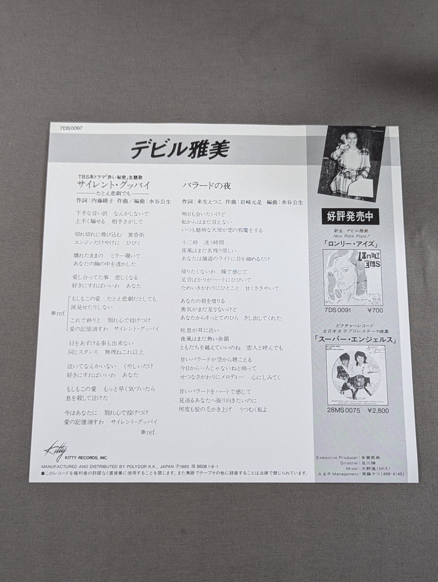 サイレント・グッバイ -たとえ悲劇でも- / デビル雅美