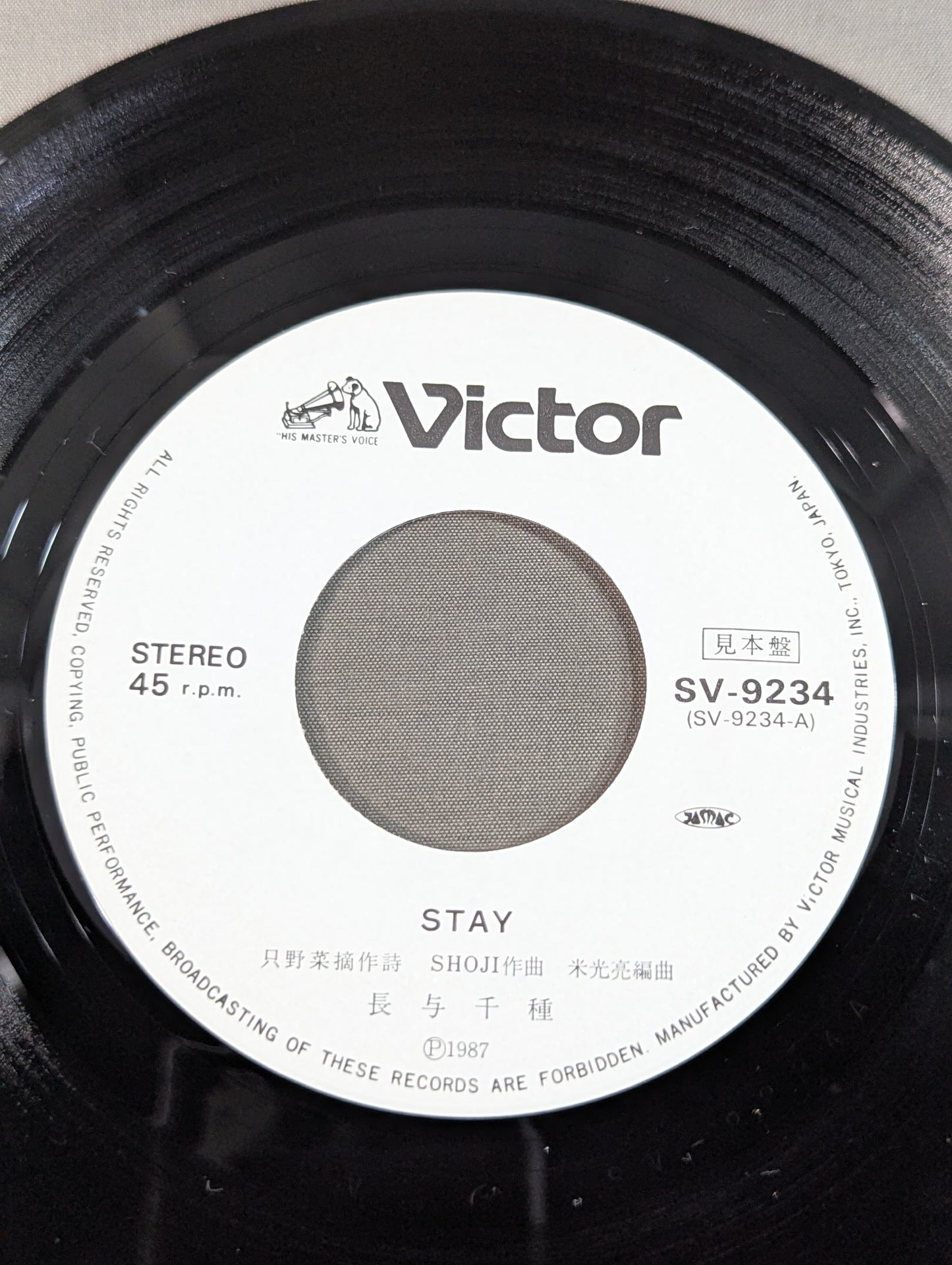 STAY(ステイ) / 長与千種