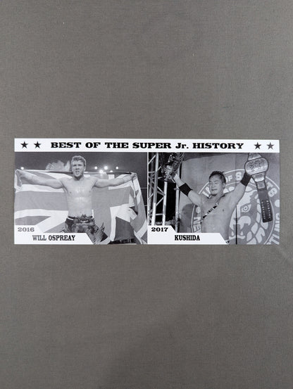★非売品★ 新日本プロレス 5.29 大田区総合体育館 BEST OF THE SUPER Jr.29 記念チケット