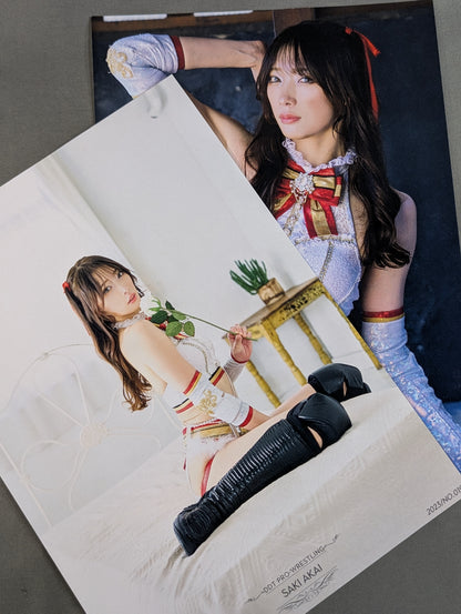 Saki Akai  Pro-Photo  Set of 2
