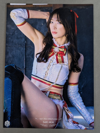 Saki Akai  Pro-Photo  Set of 2