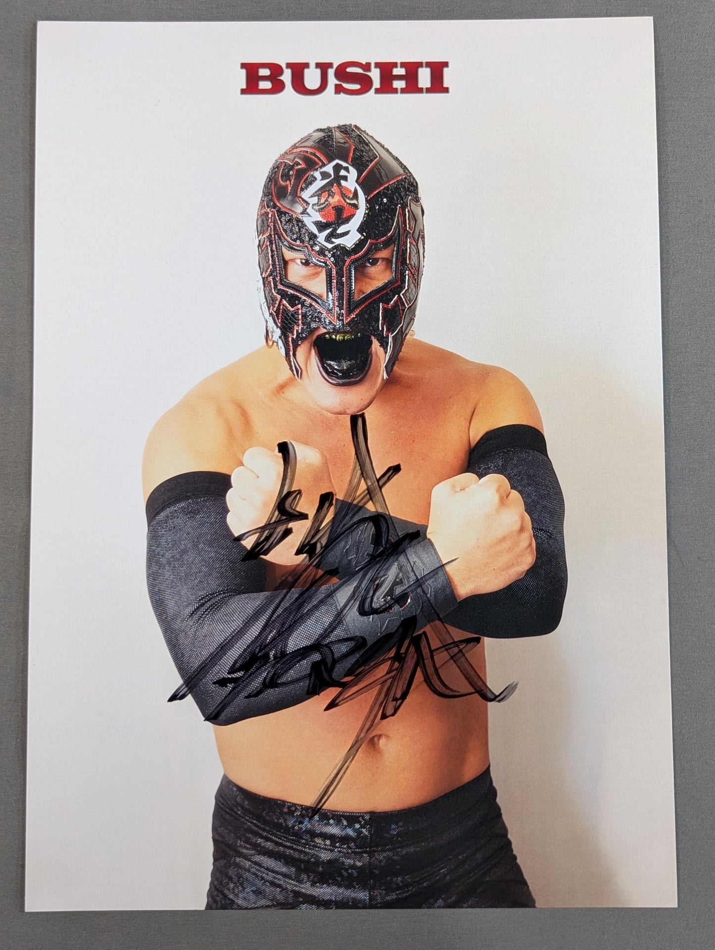 BUSHI  hand signed autograph Pro-Photo (A-7)
