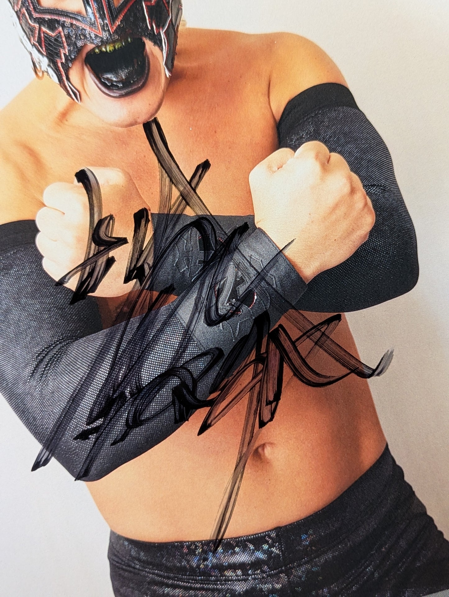BUSHI  hand signed autograph Pro-Photo (A-7)