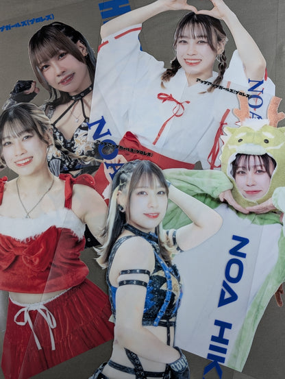 Noa Hikari Clear Pro-Photo 5-Sheet Set