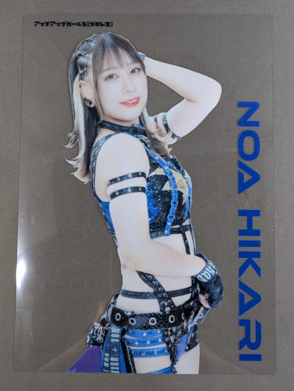 Noa Hikari Clear Pro-Photo 5-Sheet Set