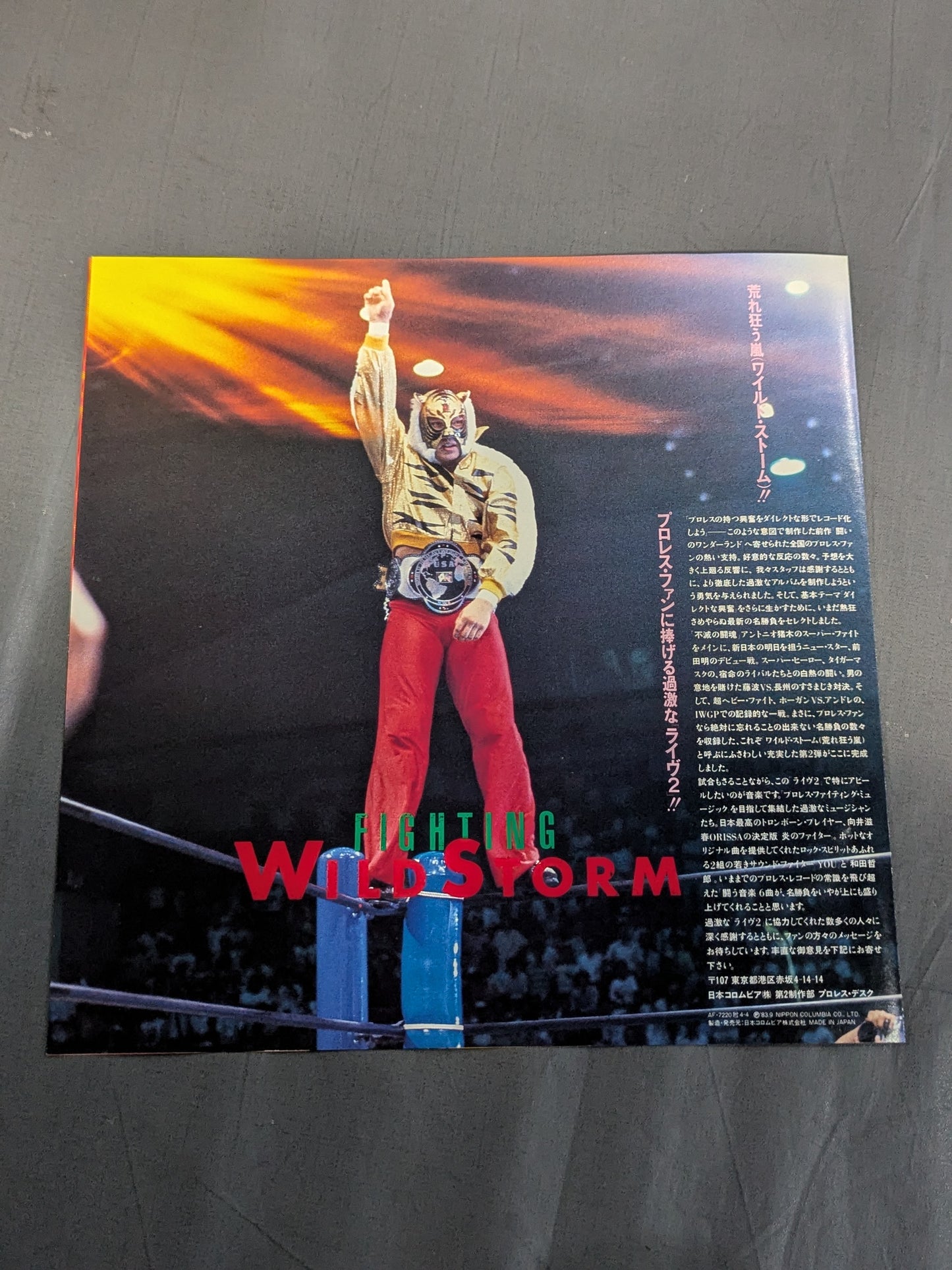 闘いのワイルド・ストーム / プロレス・ファイティング・ライブ②
