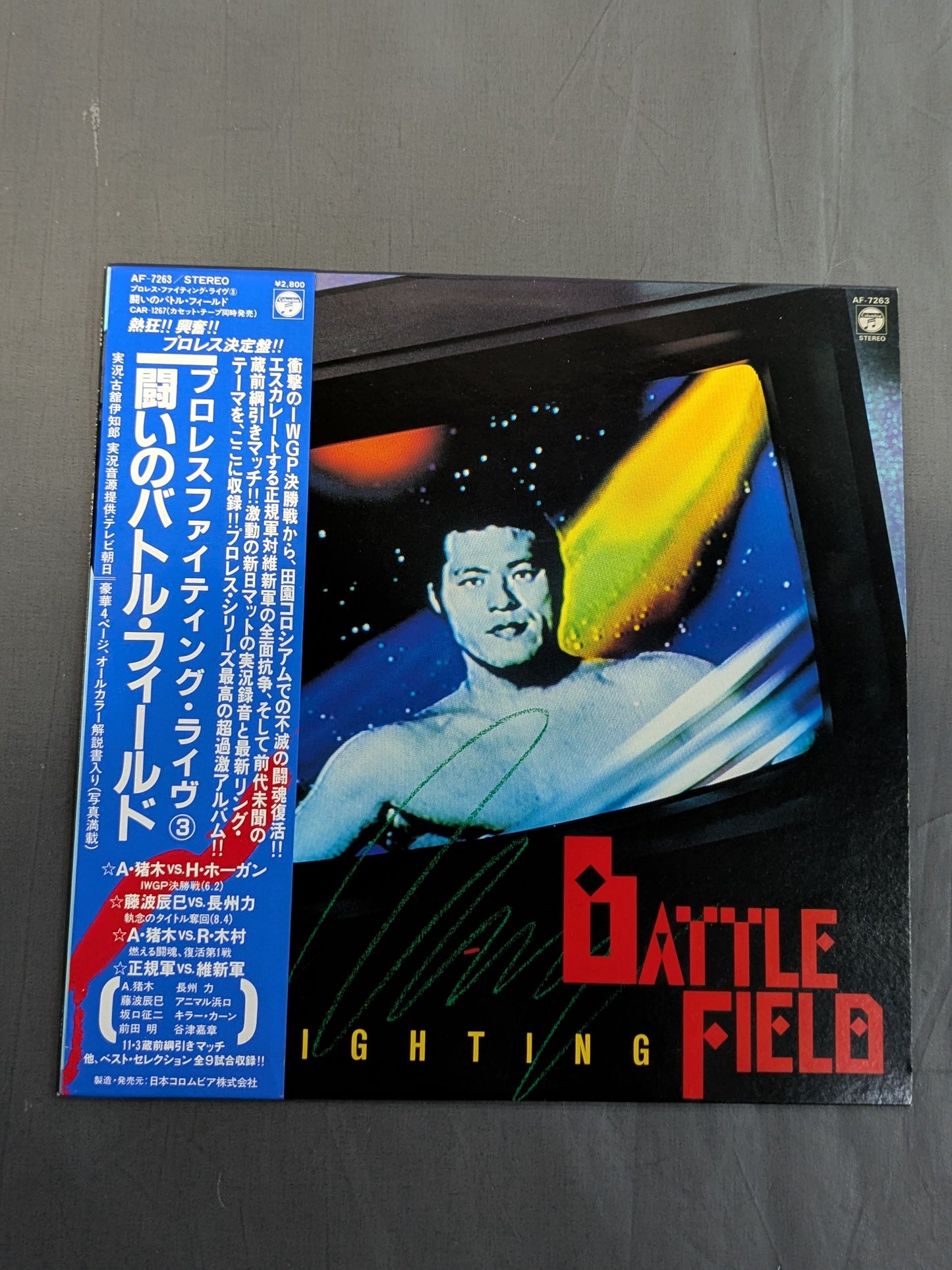 闘いのバトル・フィールド プロレスファイティングライブ3