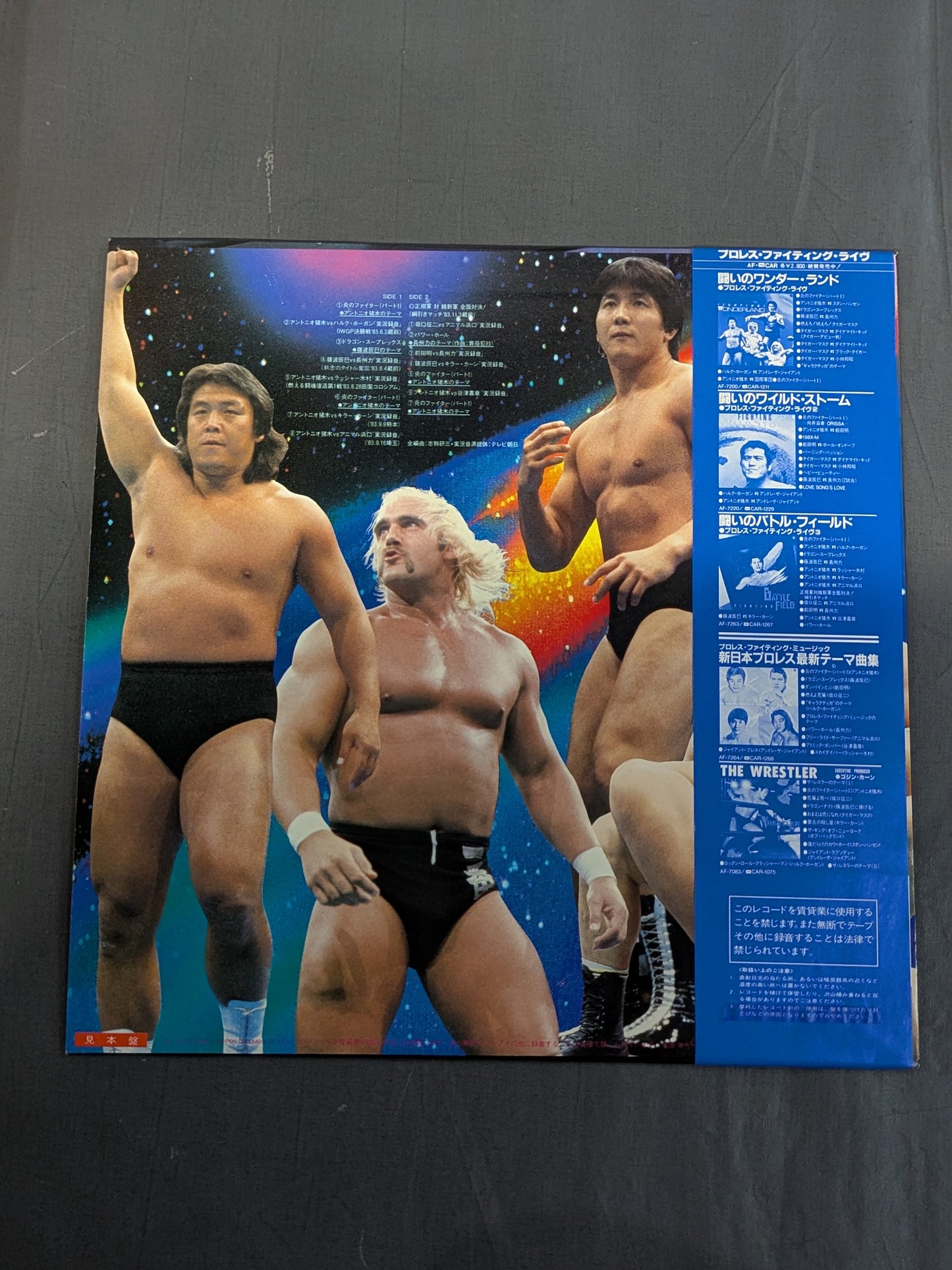 闘いのバトル・フィールド プロレスファイティングライブ3