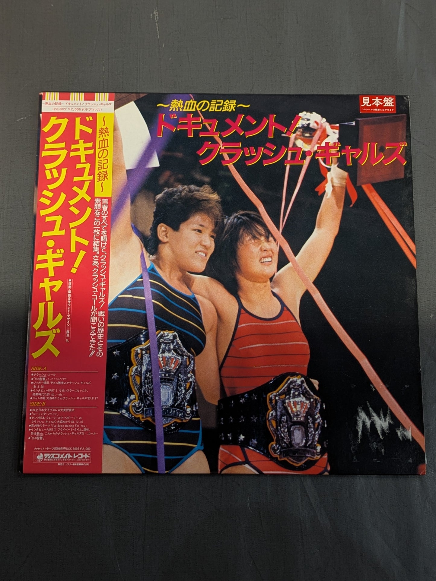 ～熱血の記録～ ドキュメント!クラッシュ・ギャルズ