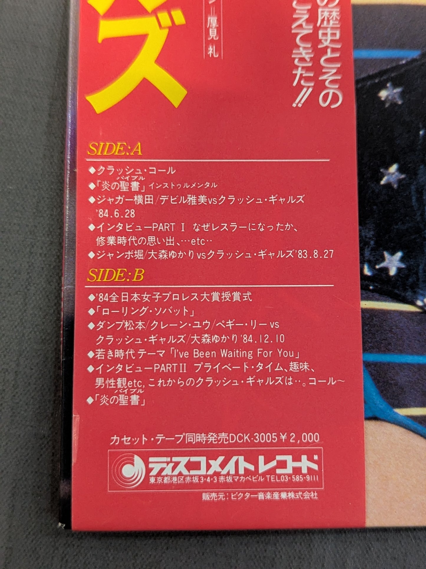 ～熱血の記録～ ドキュメント!クラッシュ・ギャルズ
