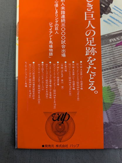 16文