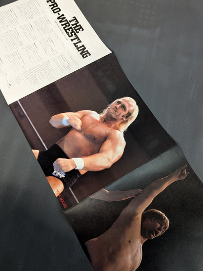 ザ・プロレスリング