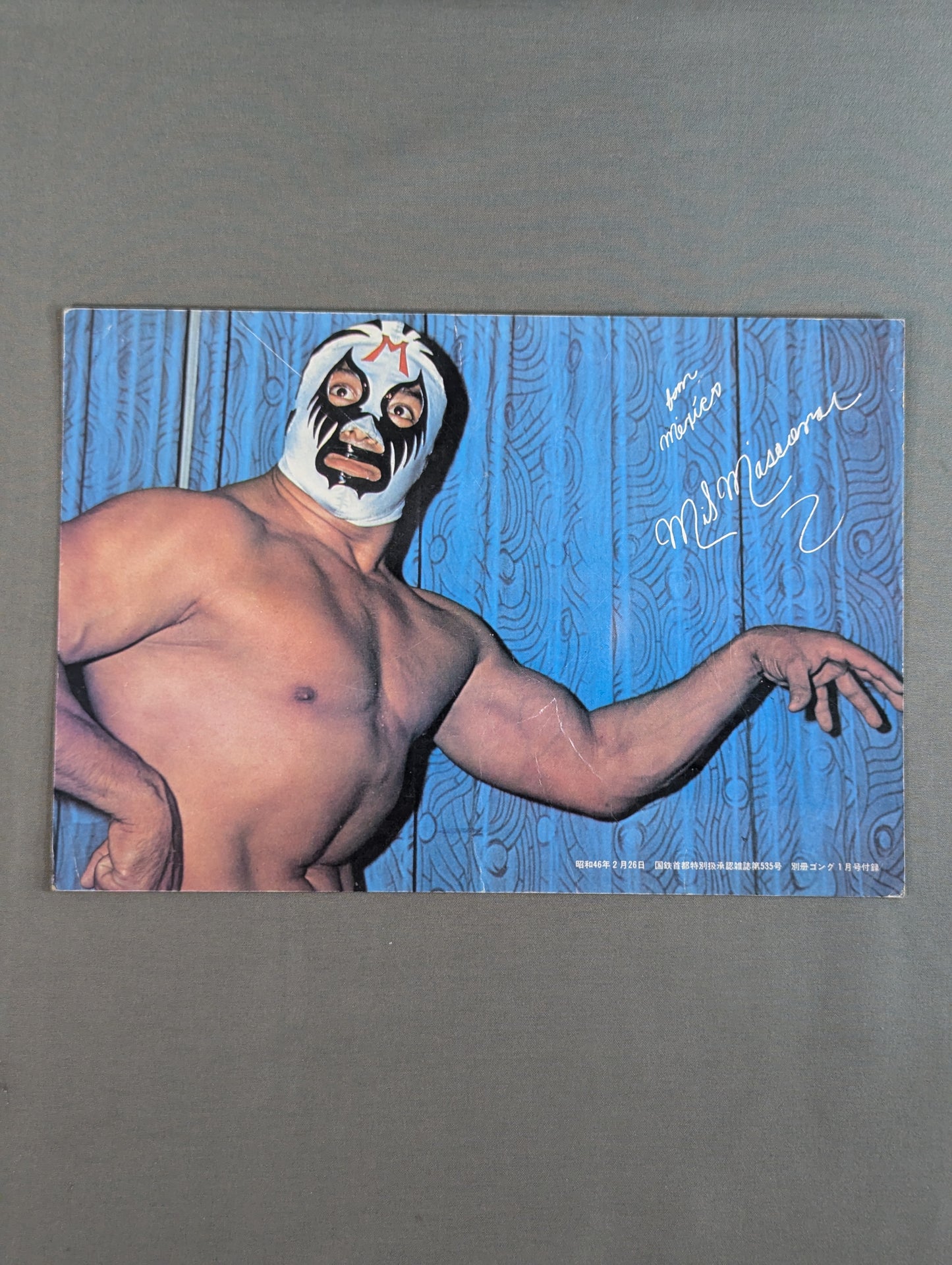 Mil Mascaras  wall mounted photo
