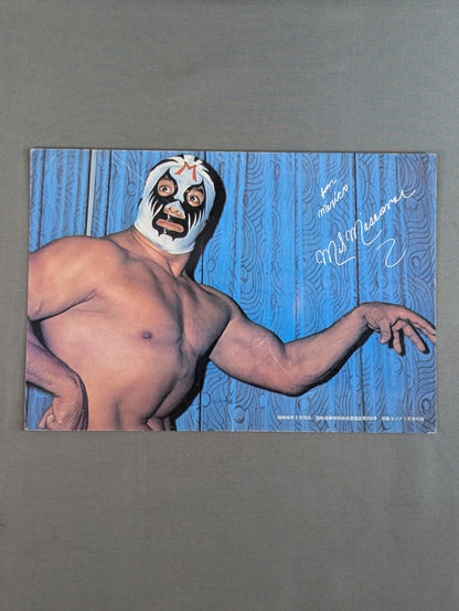 Mil Mascaras  wall mounted photo