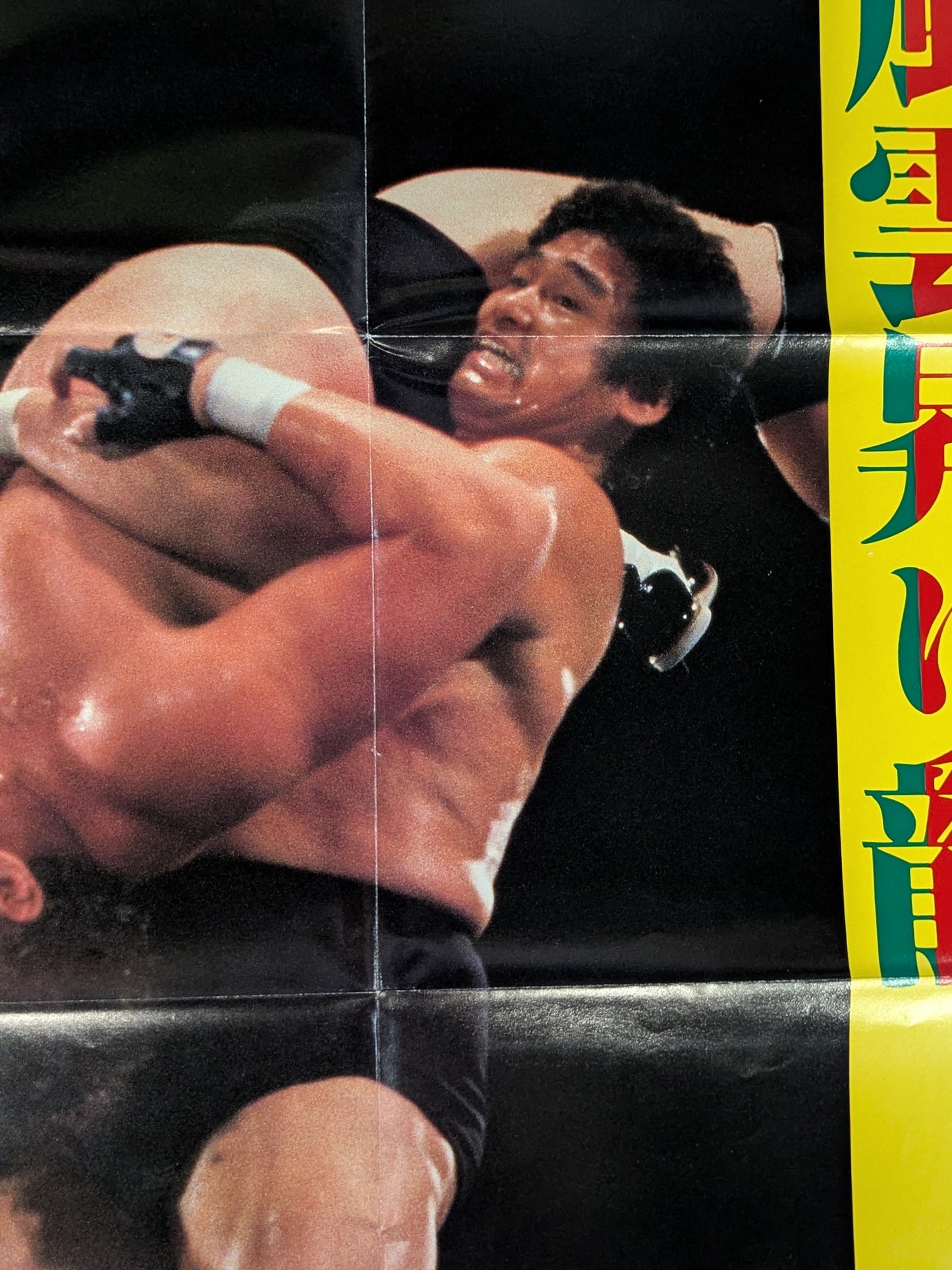 Tenryu Genichiro  Magazine Supplement Poster (2)