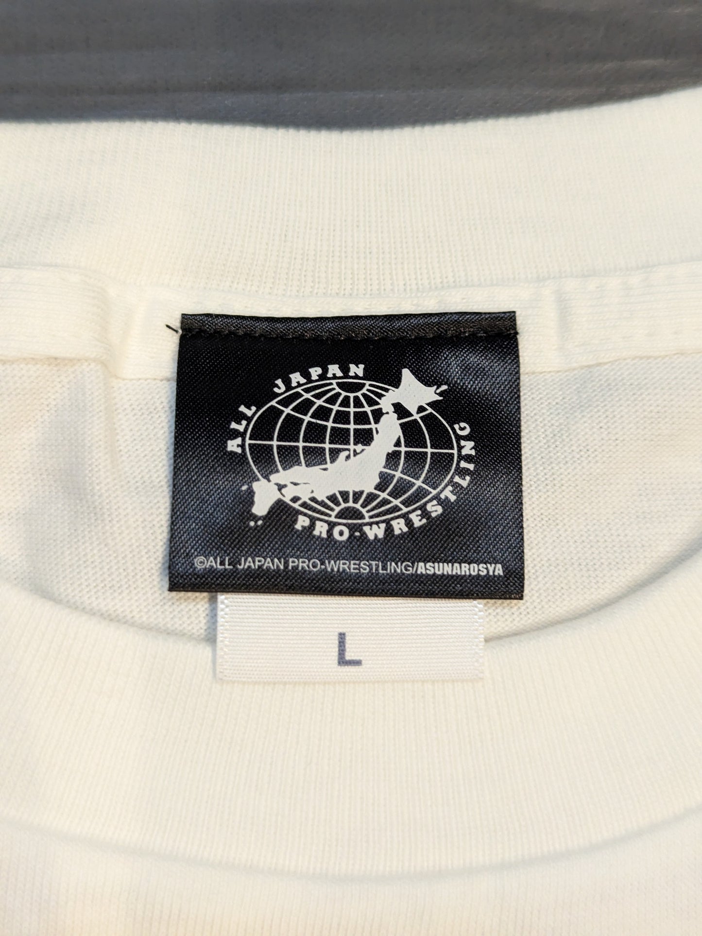 2012 チャンピオンカーニバル Tシャツ