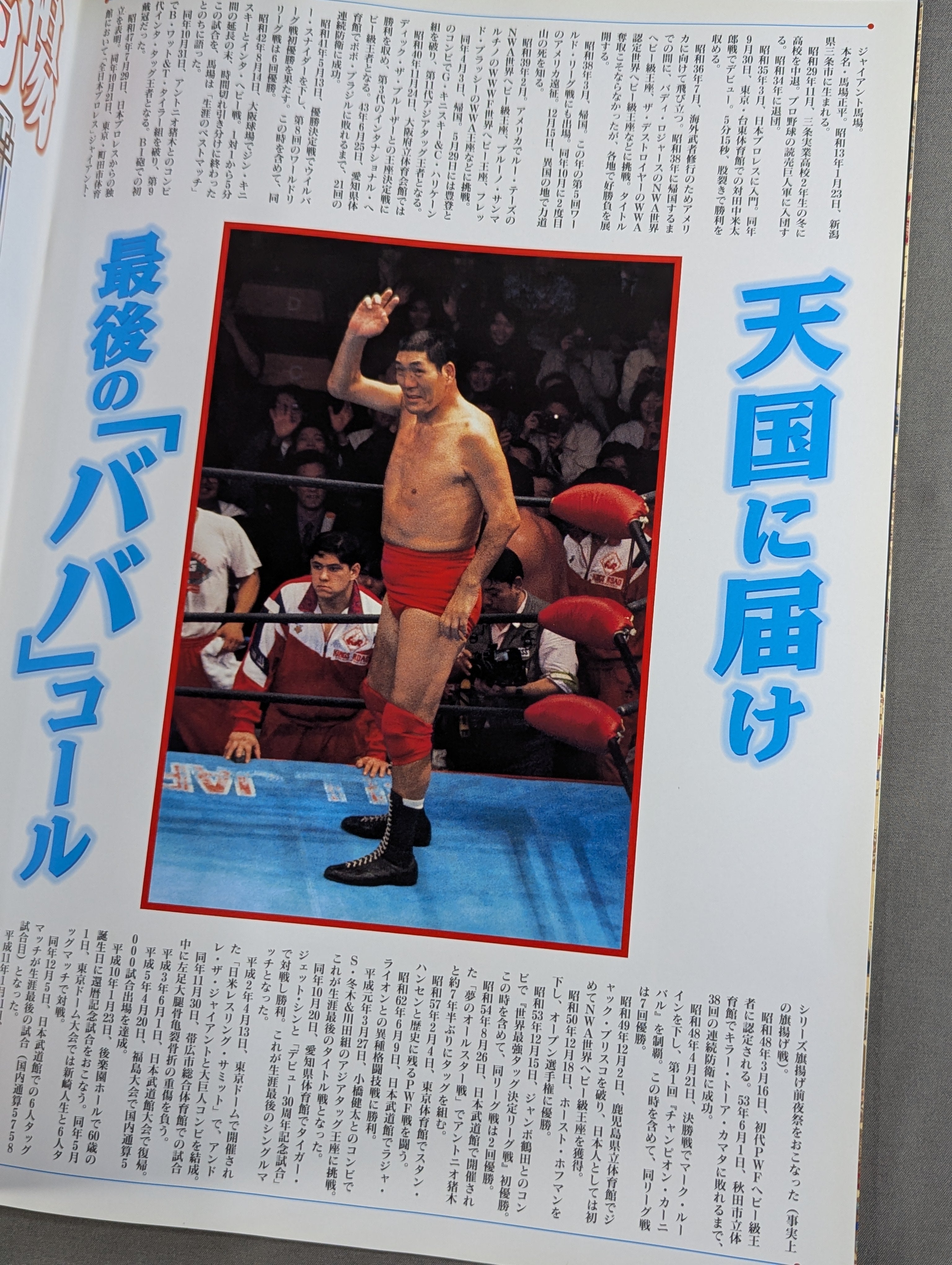ジャイアント馬場『引退』記念興行 – 闘道館