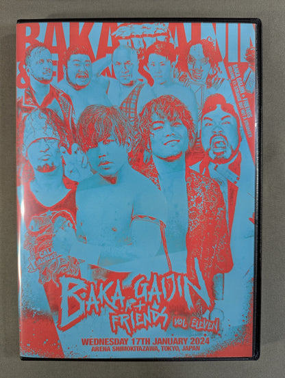 BAKA GAIJIN VOL.13 ★STRANGE BUT NOT A STRANGER★