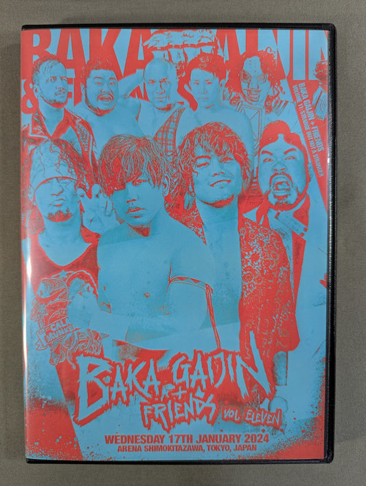 BAKA GAIJIN VOL.13 ★STRANGE BUT NOT A STRANGER★
