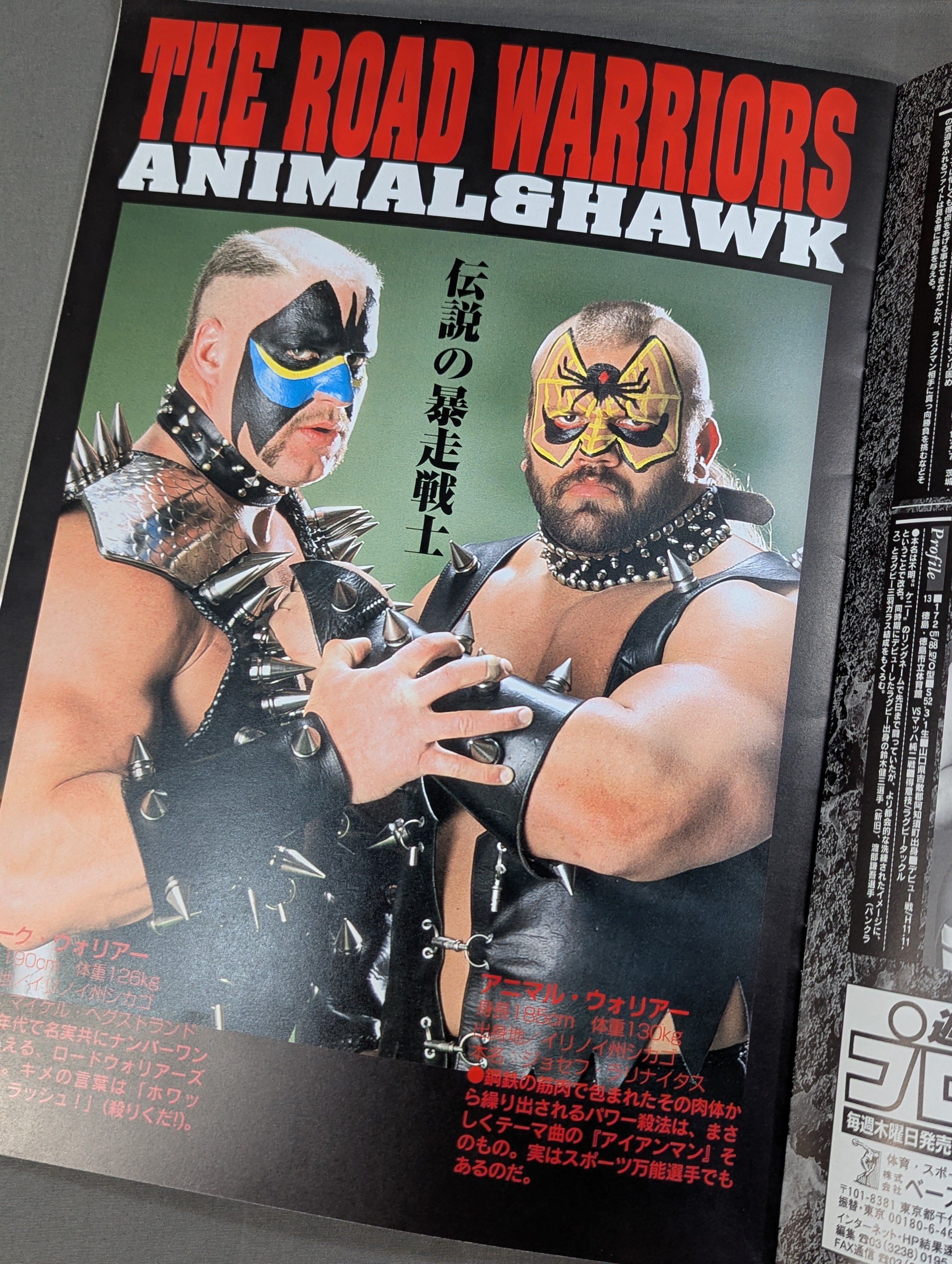 格闘探偵団バトラーツ / THE ROAD WARRIORS JAPAN TOUR 2000 – 闘道館