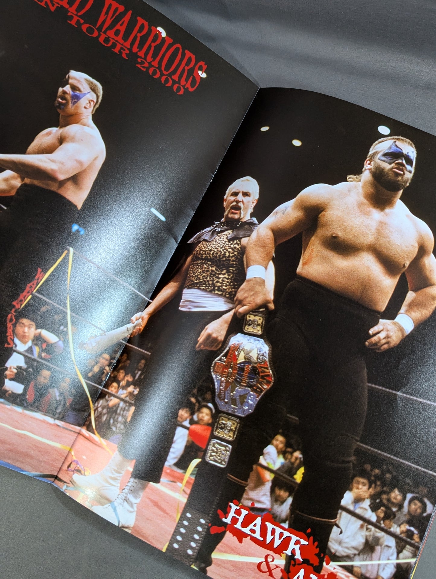 Fighting Detectives Battlarts / THE ROAD WARRIORS JAPAN TOUR 2000