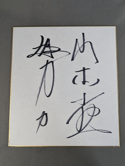Kotetsu Yamamoto 