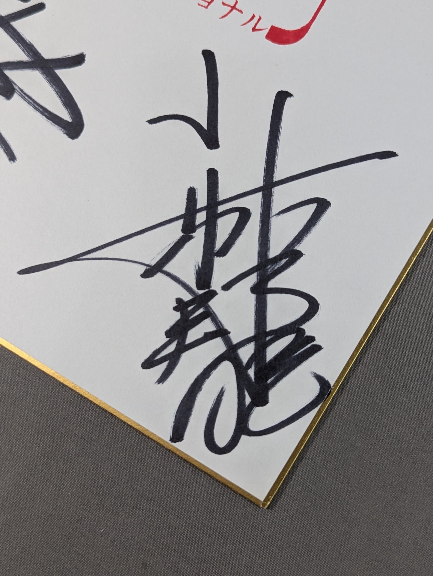 Japan Pro Wrestling 4 fighters Group Message