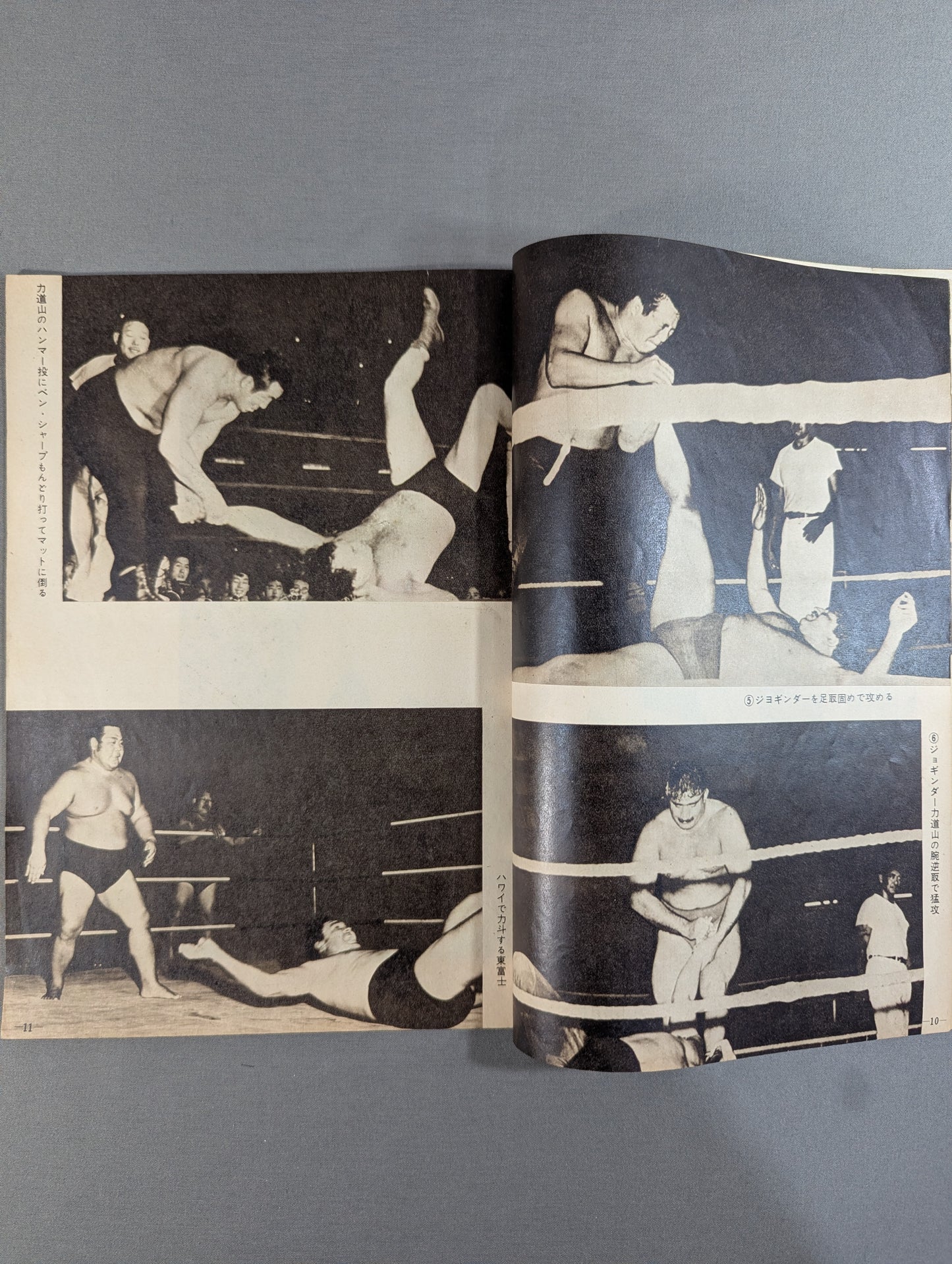 Pro Wrestling Tag Team World Championship