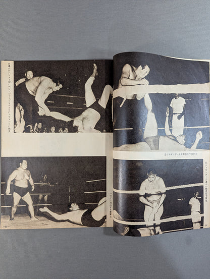 Pro Wrestling Tag Team World Championship