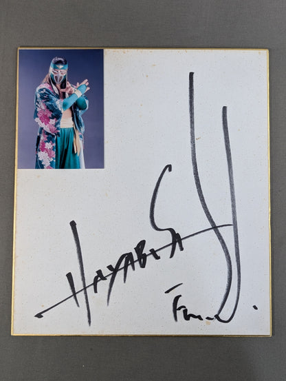 HAYABUSA (First Generation)