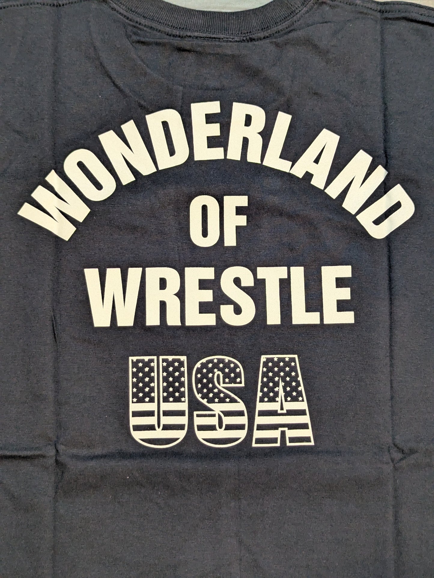 Lion Mark "USA" T-shirt (Navy)