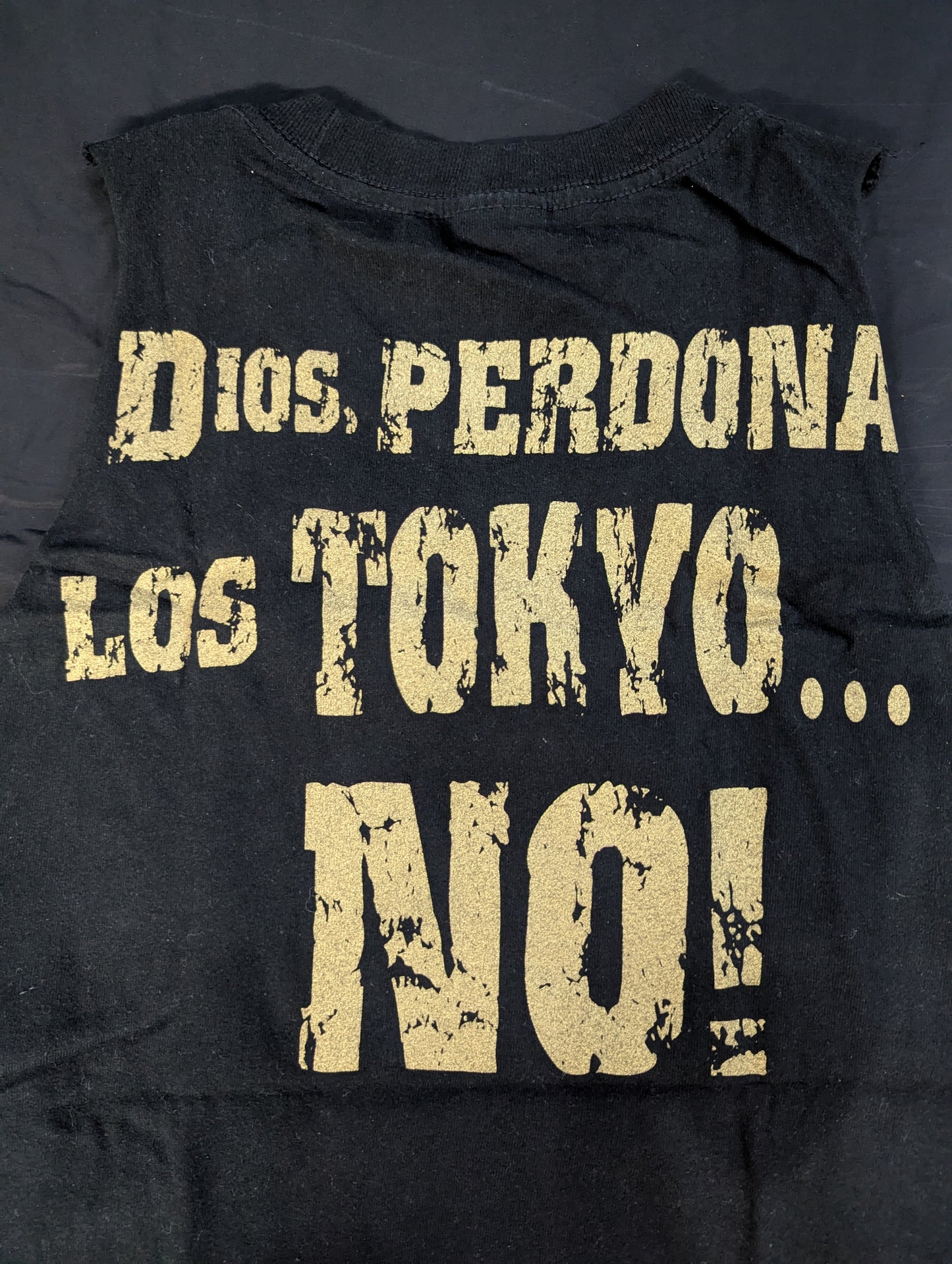 NOSAWA RONGAI 