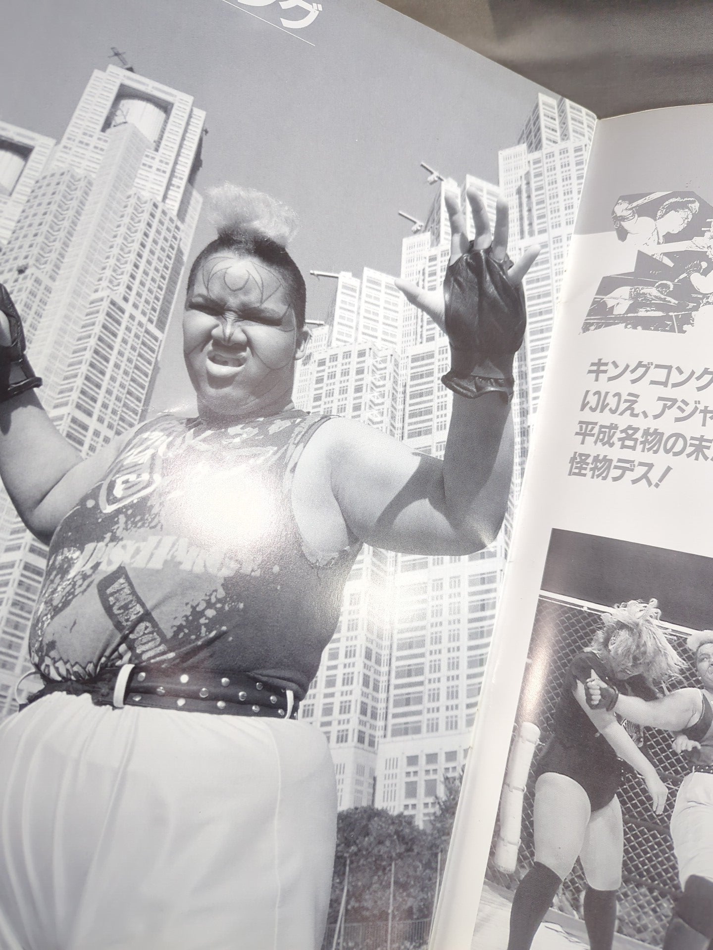 リングスターPROGRAM 1991 Vol.8