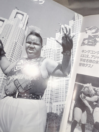 リングスターPROGRAM 1991 Vol.8