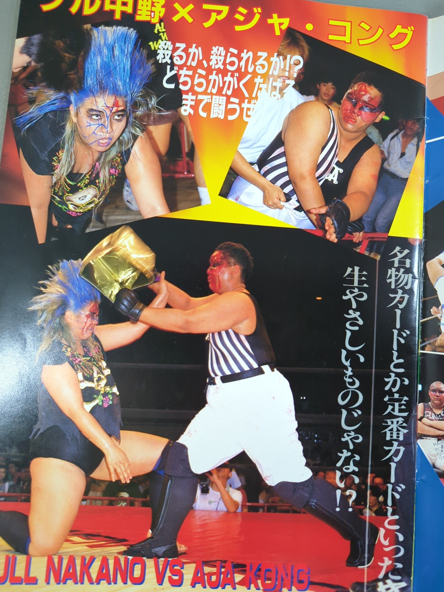 リングスターPROGRAM 1991 Vol.10