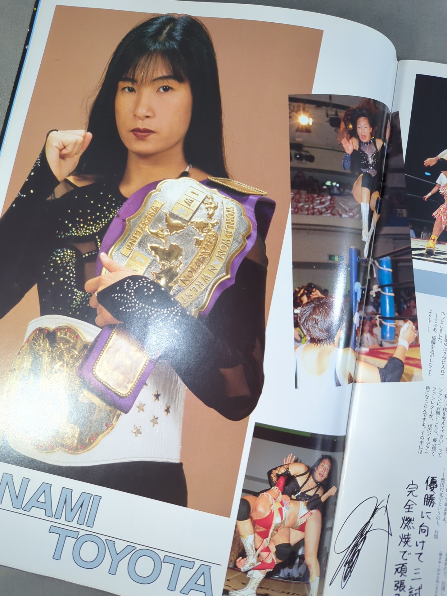 BIG EGG Wrestling  UNIVERSE