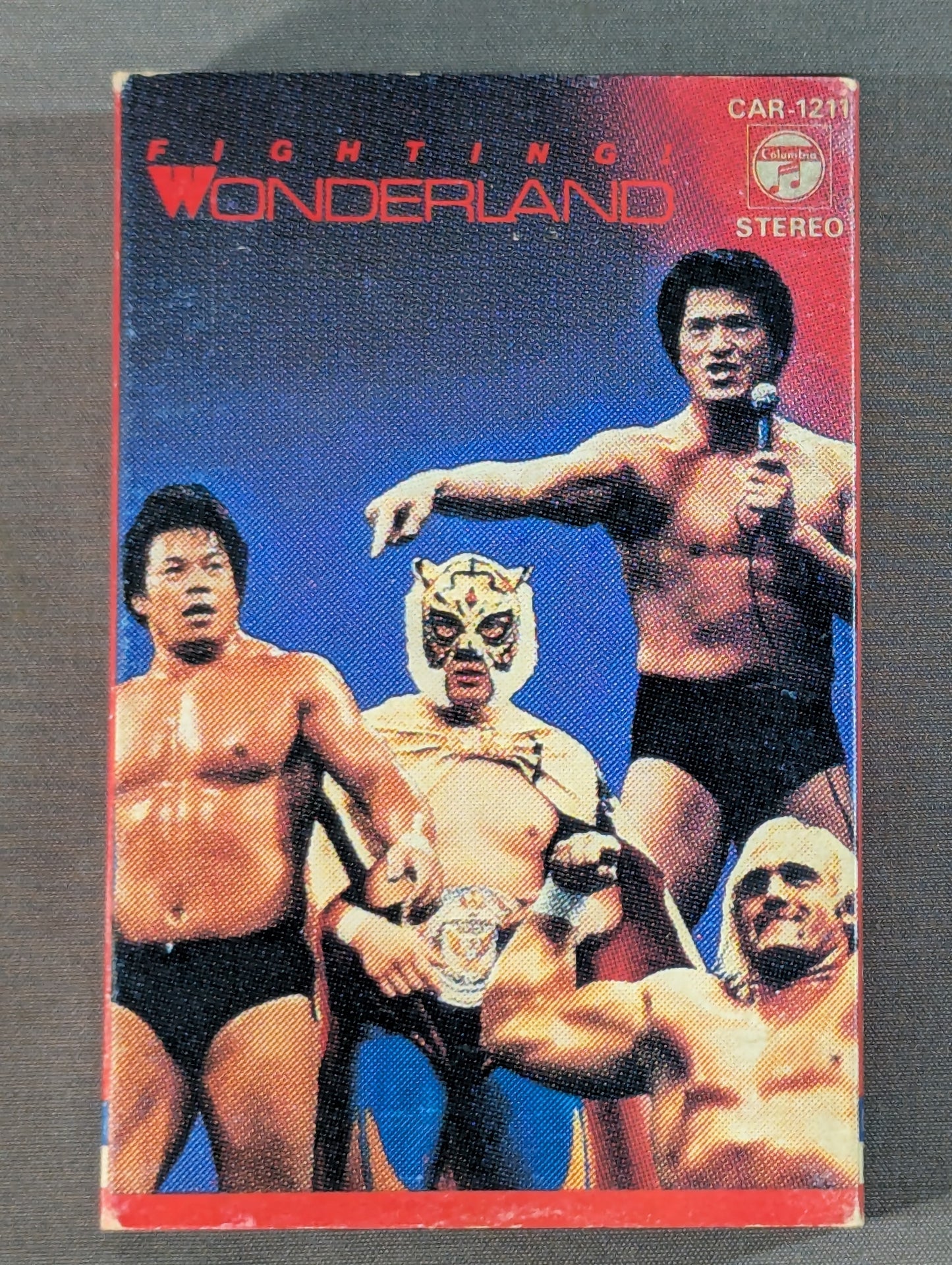 Wonderland of Battle (Pro Wrestling Fighting Live)