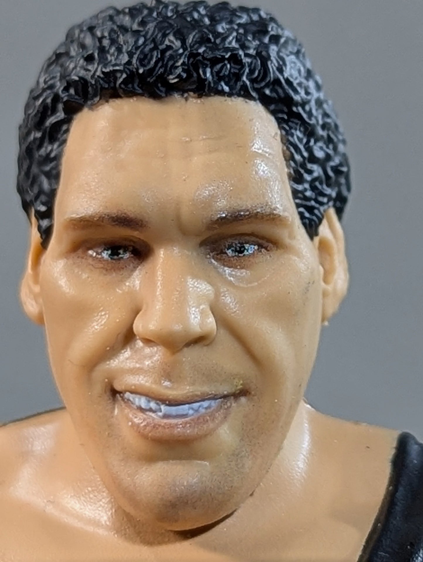 Andre the Giant 
