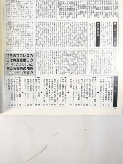 デラックスプロレス 1986年12月号