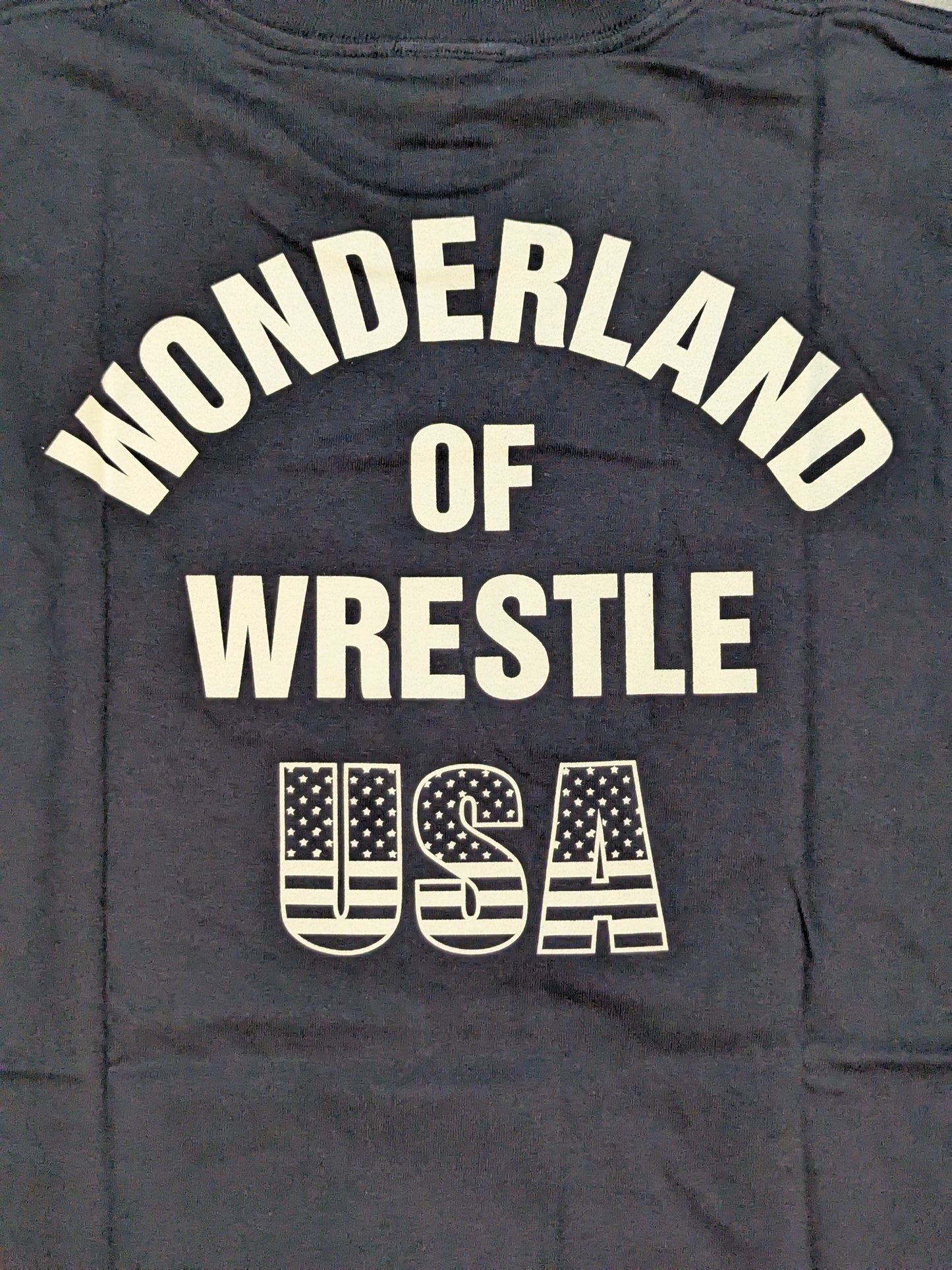 Lion Mark "USA" T-shirt