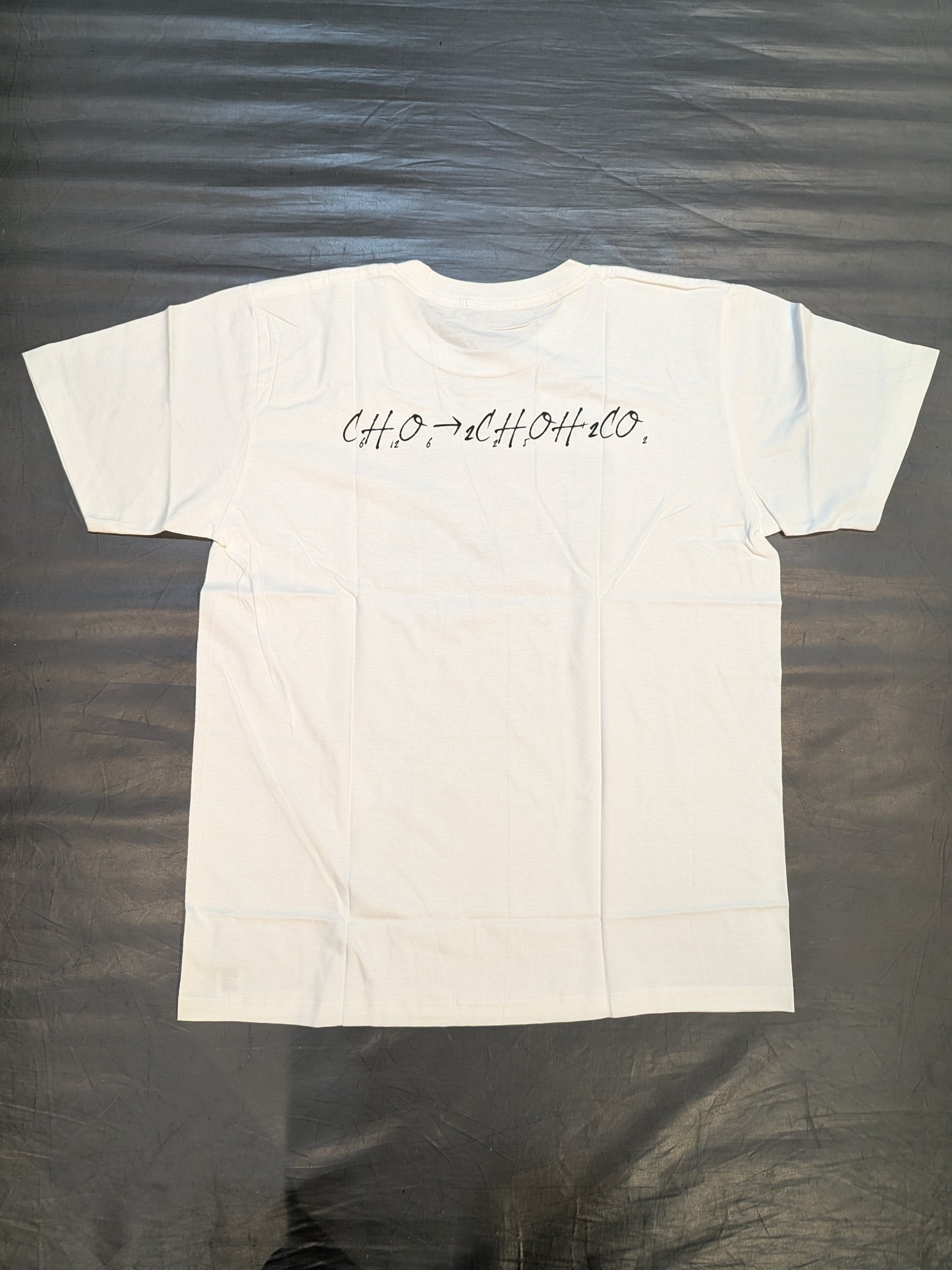 矢野通「アインシュタイン」Tシャツ