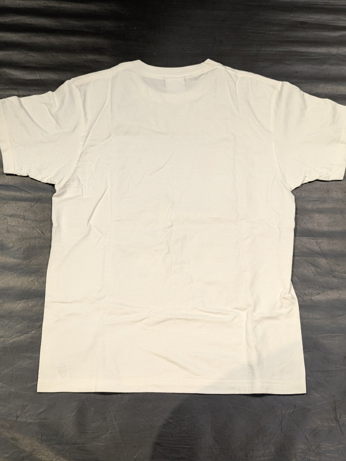 鈴木みのる「パンクラス30周年スペシャルマッチ」フォトTシャツ(ホワイト)