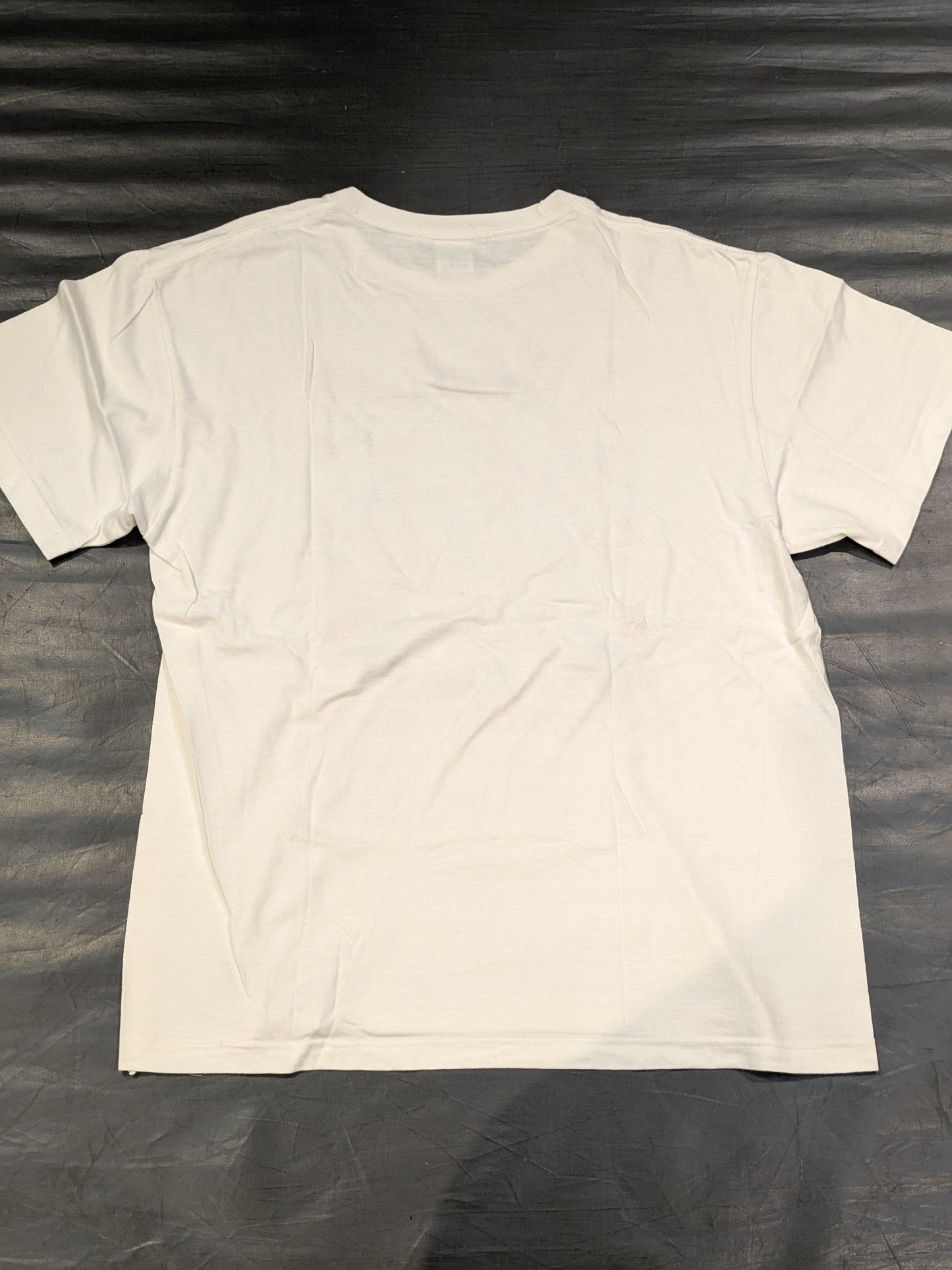 鈴木みのる×TWOPLATOONS「THE WORLD IS MINE!」Tシャツ