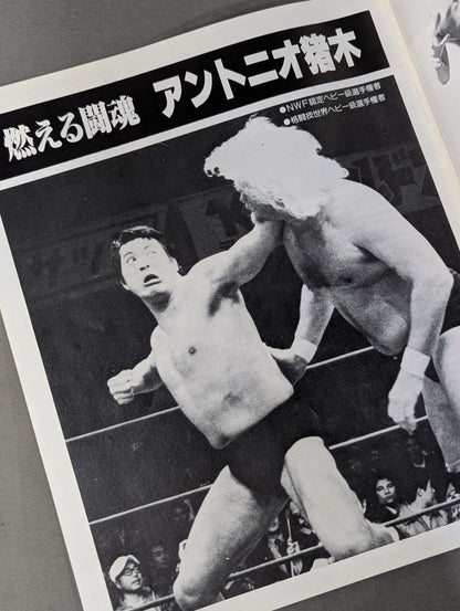 【半券付】81WWFビッグ・ファイト・シリーズ