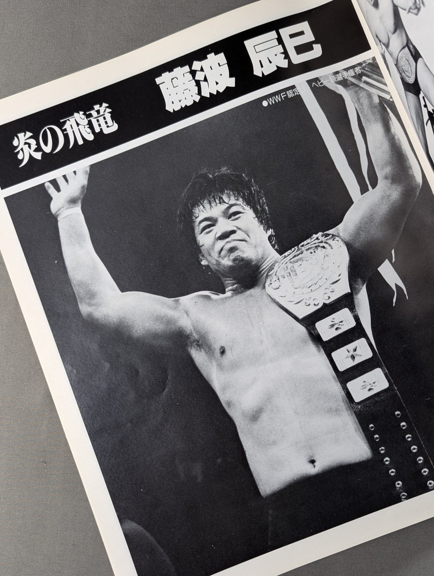 【半券付】81WWFビッグ・ファイト・シリーズ