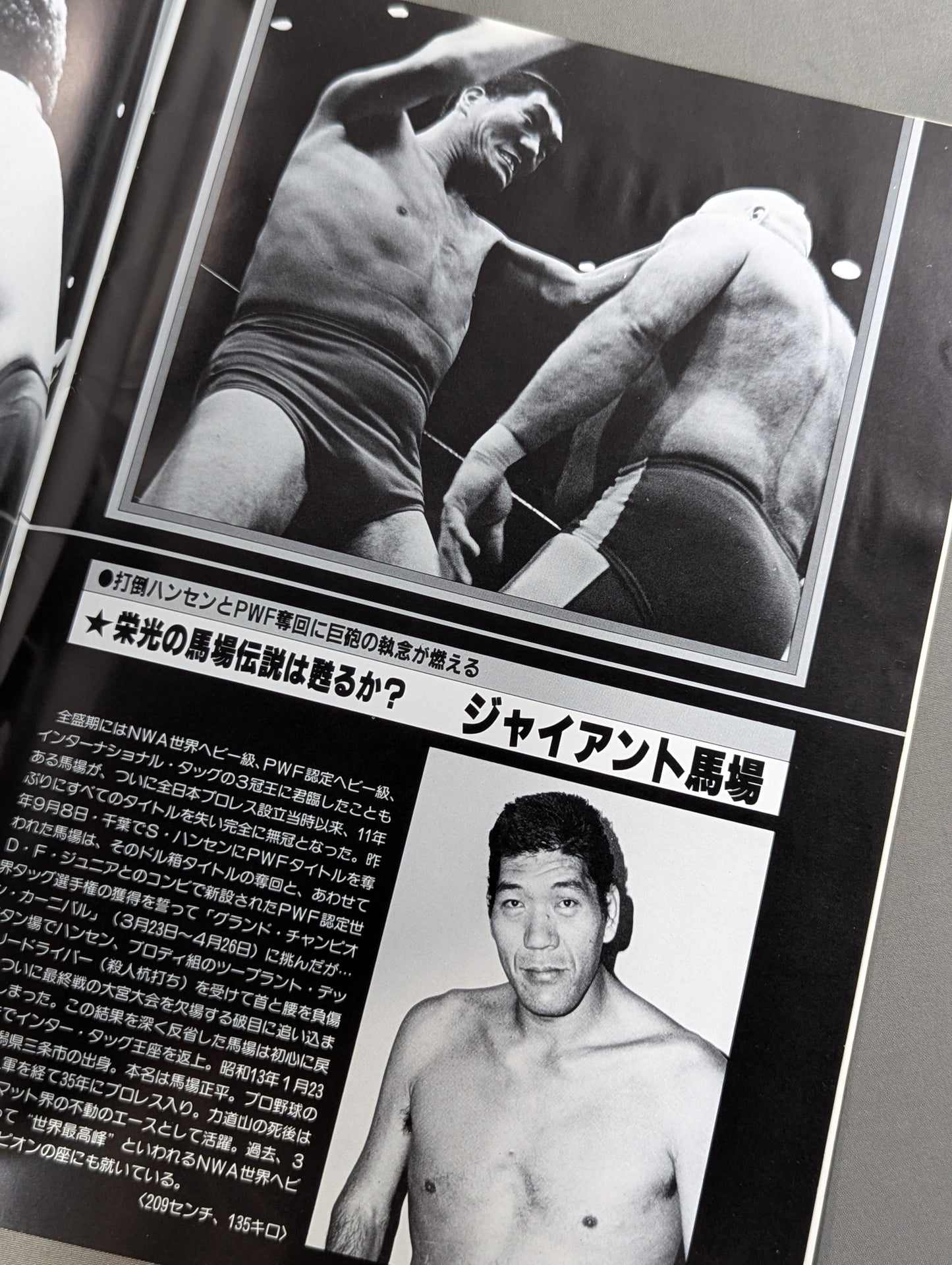 【半券付】★PWF・AWA 2大選手権★ 84グランド・チャンピオン・カーニバルⅢ