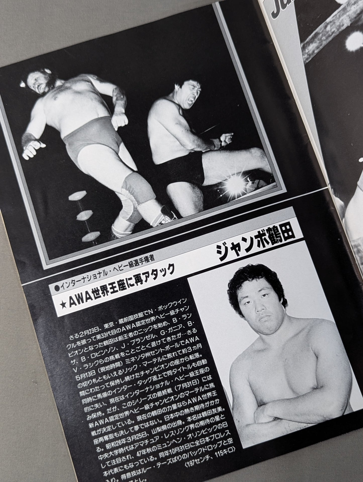【半券付】★PWF・AWA 2大選手権★ 84グランド・チャンピオン・カーニバルⅢ