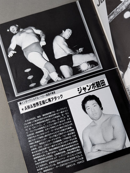【半券付】★PWF・AWA 2大選手権★ 84グランド・チャンピオン・カーニバルⅢ