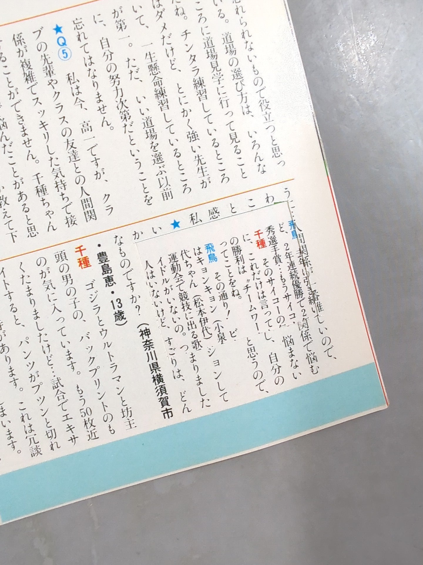 デラックスプロレス 1986年1月号
